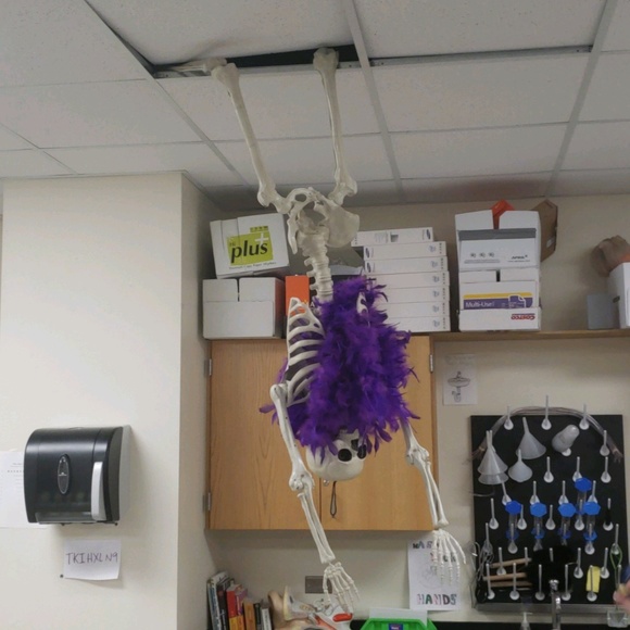 Meet your Posher, Kyle - Picture 1 of 1